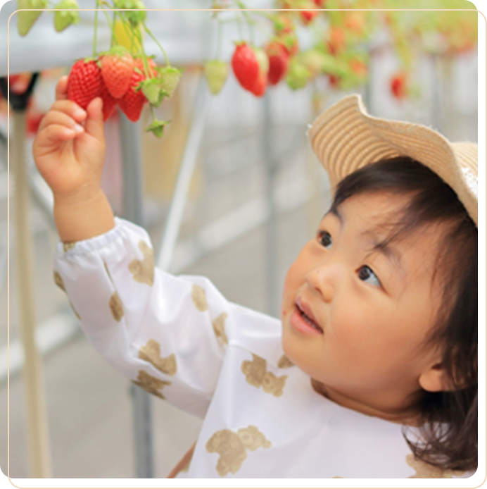 毎月１００名の方へお届けする限定サービス